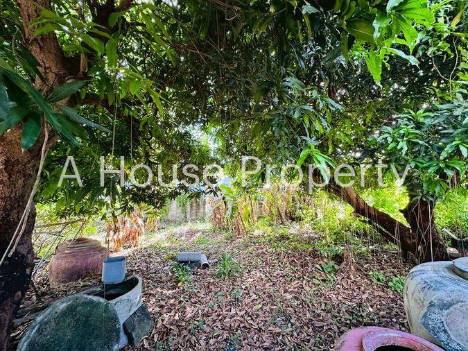 picture Beautiful land for sale with existing structures, Soi Khao Taeng On – Huai Yai Phrom 22. - 6/20