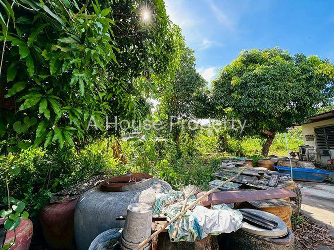 รูป ขายที่ดินสวย พร้อมสิ่งปลูกสร้าง ซอยเขาแต่งอ่อน–ห้วยยายพรหม 22 - รูปที่ 7/20