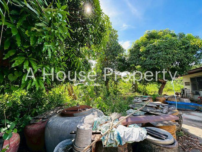 picture Beautiful land for sale with existing structures, Soi Khao Taeng On – Huai Yai Phrom 22. - 7/20