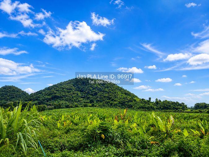 รูป ขายที่ดิน สอยดาว ใกล้แยกตามูล ทรายขาว จันทบุรี - รูปที่ 5/5