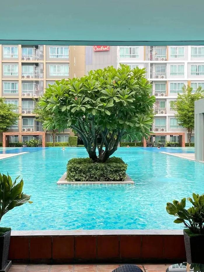 รูป 🏢 ขาย D Condo Sign เชียงใหม่ 🔥 เพียง 2 ล้าน‼️คอนโดวิวสระ ติดเซ็นทรัลเฟส เดินไปห้างได้เลย 🏊🛍️ - รูปที่ 2/8