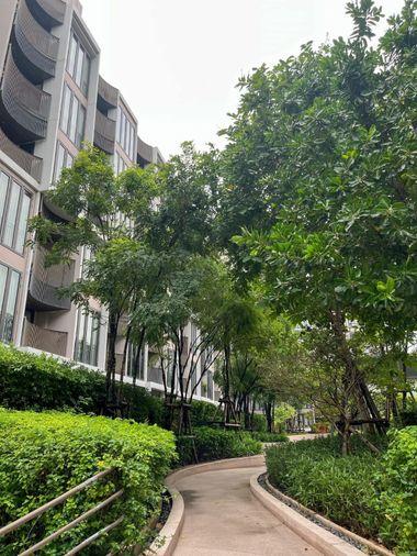 picture ✨Condo for Rent : Kawa Haus by Sansiri (AP-02) ( line : @condo91 ) - 10/10