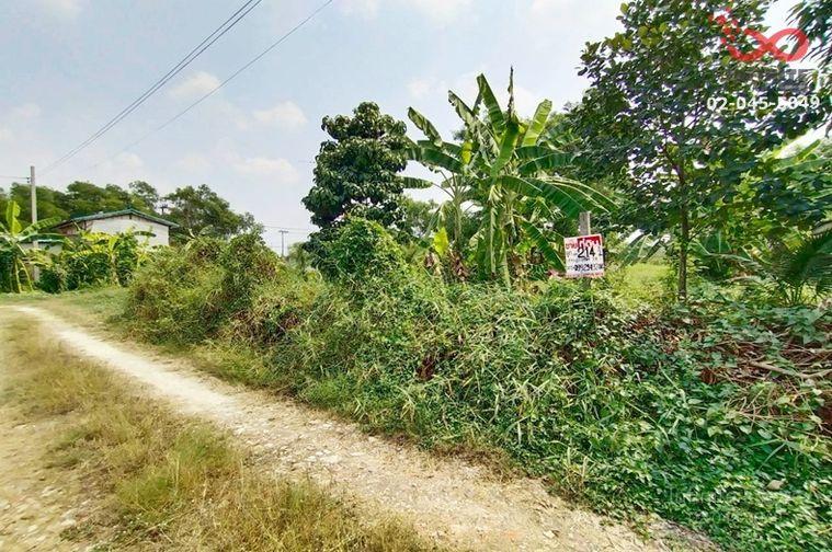 รูป ขายที่ดิน 214 ตรว.ม.เพชรมณี ราษฎร์อุทิศ 18 สุวินทวงศ์ มีนบุรี ด้านหลังติดคลองโตนด - รูปที่ 2/6