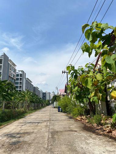 รูป ขายบ้านเดี่ยว 63 ตร.ว. ทำเลทองบางนา-ตราด 42 – ราคาที่ดินเปล่า แต่ได้บ้านพร้อมสวนร่มรื่น! - รูปที่ 4/8