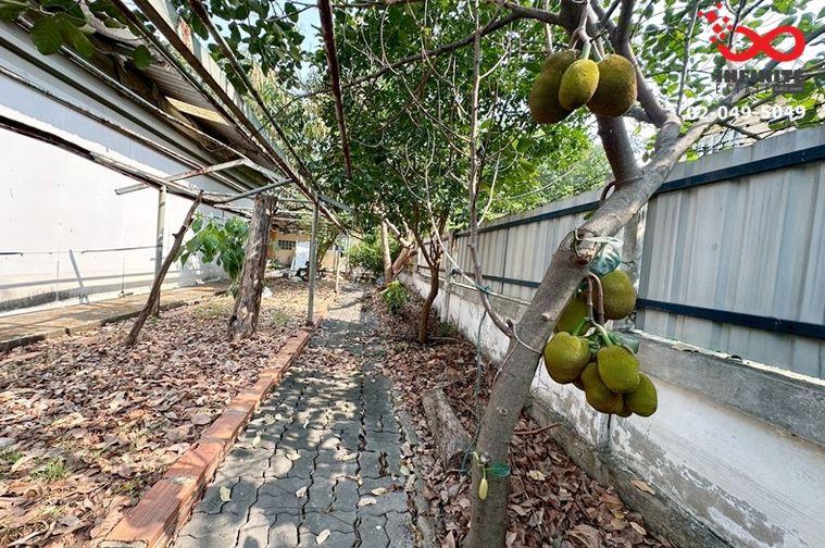 รูป ขายที่ดินหมู่บ้านสราสินี เพลส 109 ตรว. พหลโยธิน 48 (สายหยุด)ใกล้BTS  - รูปที่ 9/11