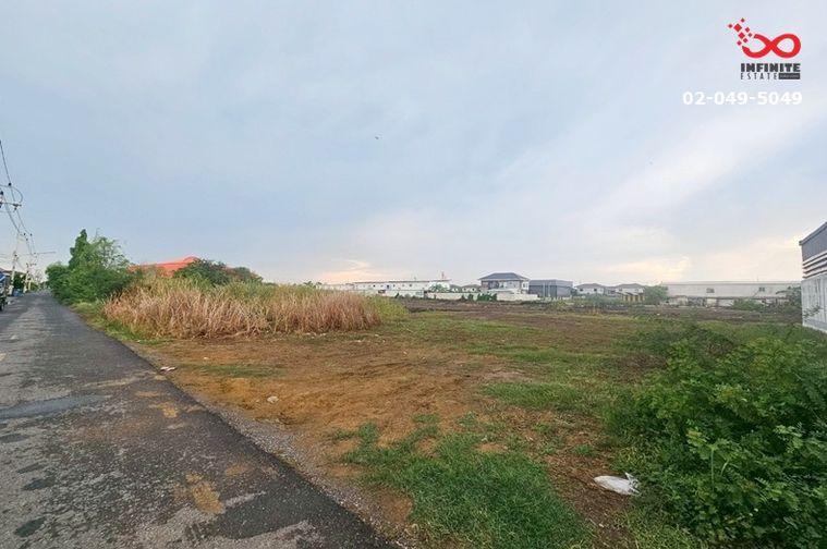 รูป ขายที่ดินเปล่า 200 ตรว. ซอยบงกช 12 คลองหลวง ปทุมธานี ใกล้ธรรมศาสตร์ รังสิต - รูปที่ 5/6