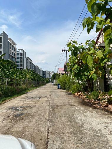 รูป ขายบ้านเดี่ยว 63 ตร.ว. ทำเลทองบางนา-ตราด 42 – ราคาที่ดินเปล่า แต่ได้บ้านพร้อมสวนร่มรื่น! - รูปที่ 3/8