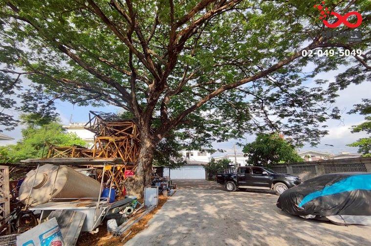 รูป ขายที่ดิน 371 ตร.ว.พร้อมสิ่งปลูกสร้าง ซอยคู้บอน 24 เข้าออกได้ 2 ทาง ใกล้รถไฟฟ้าสายสีชมพู - รูปที่ 6/16