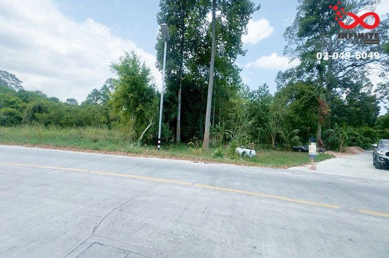 รูป ขายที่ดิน 66 ตรว.ใกล้วังเศรษฐีนาคราช (อ่างเก็บน้ำบางพระ) บางพระ ศรีราชา ชลบุรี บรรยากาศดี - รูปที่ 3/5