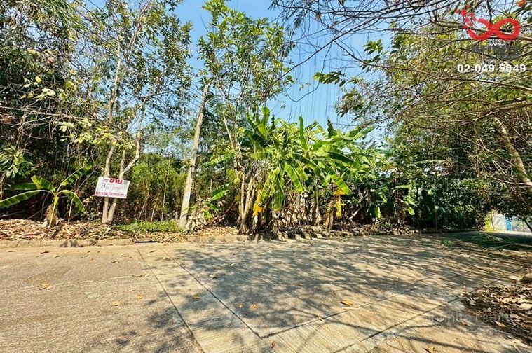 รูป ขายที่ดิน 96ตร.วา หมู่บ้านฟลอร่าวิลล์ ถนนสุวินทวงศ์ ลำผักชี หนองจอก - รูปที่ 1/5