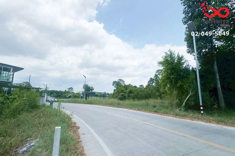 รูป ขายที่ดิน 66 ตรว.ใกล้วังเศรษฐีนาคราช (อ่างเก็บน้ำบางพระ) บางพระ ศรีราชา ชลบุรี บรรยากาศดี - รูปที่ 4/5