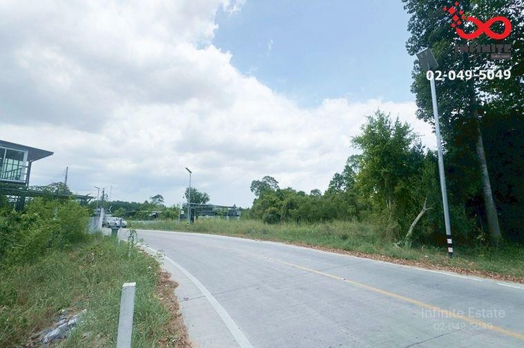 รูป ขายที่ดิน 66 ตรว.ใกล้วังเศรษฐีนาคราช (อ่างเก็บน้ำบางพระ) บางพระ ศรีราชา ชลบุรี บรรยากาศดี - รูปที่ 4/5