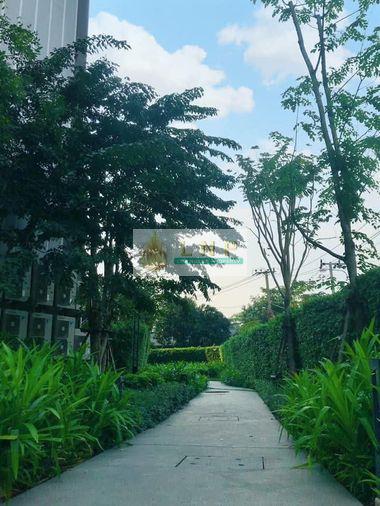 รูป 🏢 ให้เช่าคอนโด : IDEO New Rama 9 (ไอดีโอ นิว พระราม 9) รหัสทรัพย์ | 📌LNP-C2967 - รูปที่ 2/10