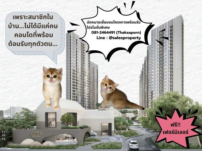 รูป COBE Ratchada-Rama 9 ใช้ชีวิตใจกลางเมือง ไปพร้อมกับเพื่อนรักสี่ขา ในคอนโด Pet Friendly - รูปที่ 1/9