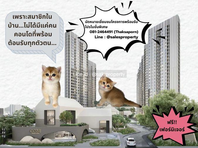 รูป COBE Ratchada-Rama 9 ใช้ชีวิตใจกลางเมือง ไปพร้อมกับเพื่อนรักสี่ขา ในคอนโด Pet Friendly - รูปที่ 1/9