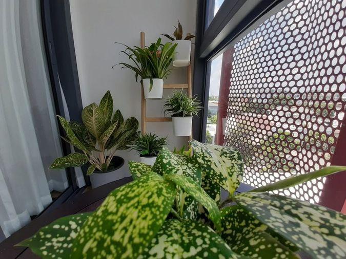 รูป 🔥ขาย คอนโด  Taka Haus Ekamai 12 ทากะ เฮ้าส์ เอกมัย 12  🌳 โอเอซิสส่วนตัวใจกลางเมือง ดีไซน์ญี่ปุ่น โครงสร้างแข็งแรงพิเศษ  - รูปที่ 7/16