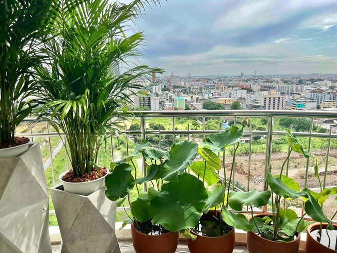 รูป 🏢 ขายคอนโด : Supalai Wellington (ศุภาลัย เวลลิงตัน)   รหัสทรัพย์ | 📌LNP-C13372  - รูปที่ 10/49