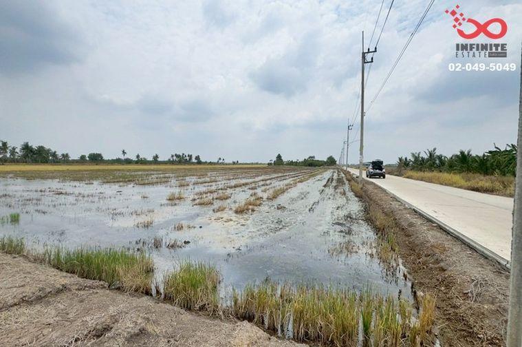 รูป ขายที่ดิน 2 ไร่ คลอง 10 ลำลูกกา ปทุมธานี ติดถนน - รูปที่ 4/6