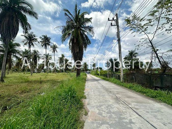 รูป ให้เช่าที่ดินแปลงสวย ทำเลทอง บึง ศรีราชา ชลบุรี - รูปที่ 6/12