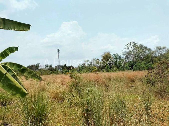 รูป ที่ดินทำเลดี แปลงสวย ใจกลางไร่กล้วย ศรีราชา ชลบุรี - รูปที่ 5/7