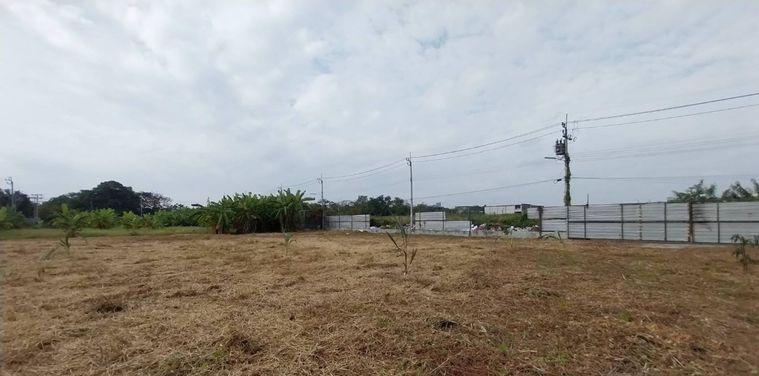 รูป ให้เช่าที่ดิน กรุงเทพกรีฑา ซอย 9 ที่ดินติดถนน เข้าออกได้หลายทาง (N.2140) - รูปที่ 11/11