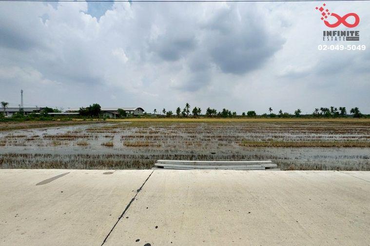 รูป ขายที่ดิน 2 ไร่ คลอง 10 ลำลูกกา ปทุมธานี ติดถนน - รูปที่ 3/6