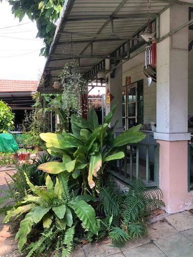 รูป 🔥ขายขาดทุน บ้านเดี่ยว ✅ หมู่บ้านชลลดา วงแหวนรัตนาธิเบศร์ Chollada Wongwaen Rattanathibet ใกล้วงแหวนรัตนาธิเบศร์ - รูปที่ 5/7