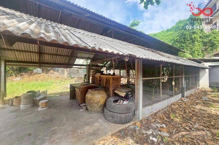 รูป ขายบ้านเดี่ยว 293 ตร.ว. ถนนสนามบินน้ำ  ซอยนนทบุรี 33 (วัดชมภูเวก) ใกล้รถไฟฟ้าสายสีม่วง - รูปที่ 12/13
