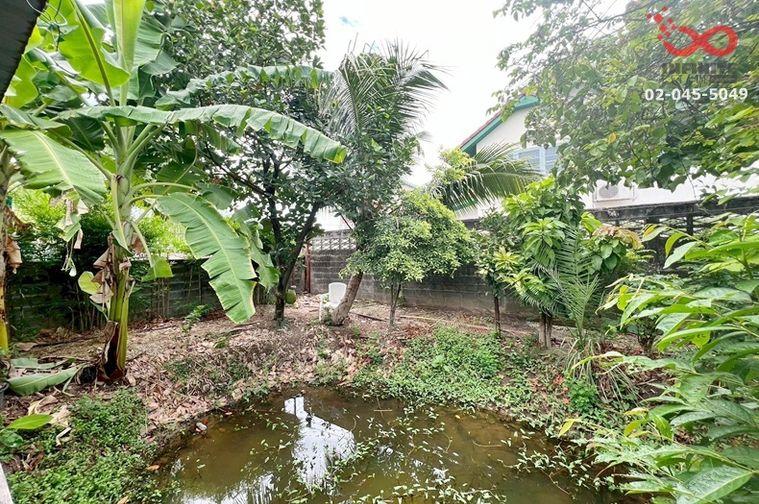 รูป ขายบ้านเดี่ยว 1ชั้น 121 ตร.ว. ประชาชื่น - งามวงศ์วาน ซ.ประชาชื่นนนทบุรี 4 ใกล้เดอะมอลล์งามวงศ์วาน - รูปที่ 11/14