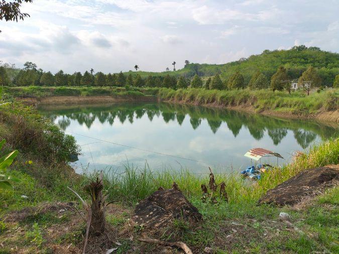 รูป ขายสวนทุเรียน จ.จันทบุรี ผลผลิตดี ระบบพร้อม เดินทางสะดวก เหมาะสำหรับลงทุนหรือทำสวนต่อได้ทันที (N.2153) - รูปที่ 3/11