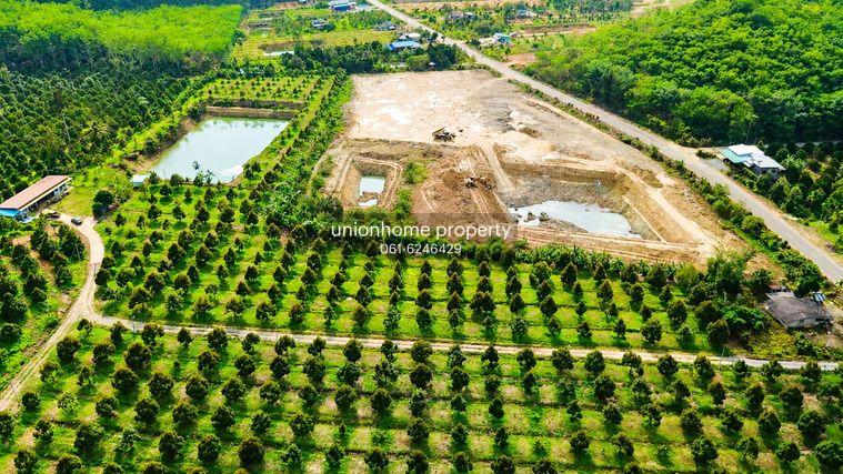 รูป ขายสวนทุเรียน จ.จันทบุรี ผลผลิตดี ระบบพร้อม เดินทางสะดวก เหมาะสำหรับลงทุนหรือทำสวนต่อได้ทันที (N.2153) - รูปที่ 1/11