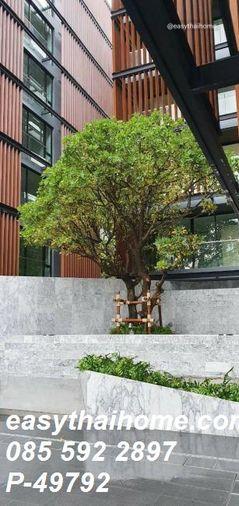 รูป P-49792 — ให้เช่าคอนโด ชั้น 2 Chalermnit Art De Maison ใกล้ BTS ทองหล่อ 085-592-2897 Line: @easythaihome - รูปที่ 11/22