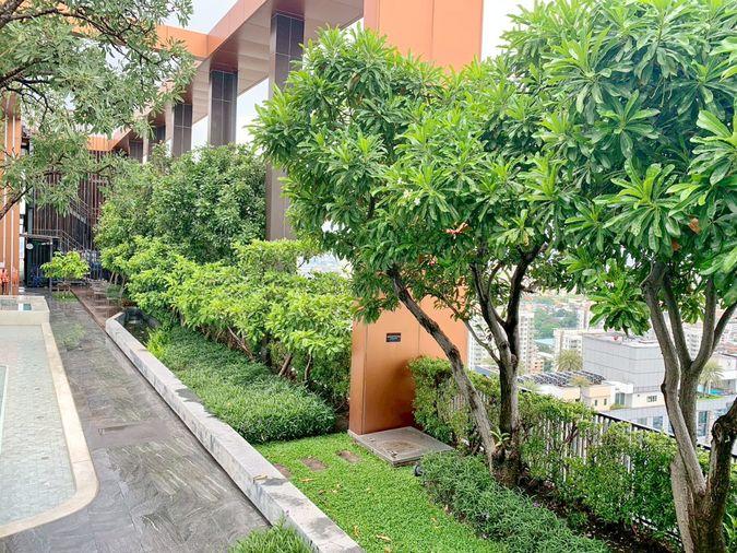 picture Sale studio, 16th floor Whizdom Avenue Ratchada-Ladprao - 30/36