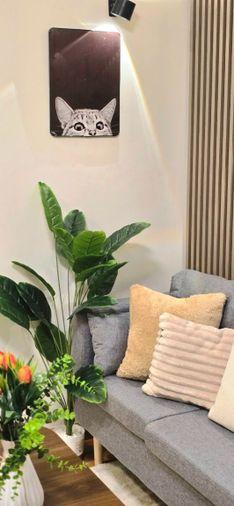 รูป 🔥ขาย คอนโด Pruksathani Condotel 1 อ่อนนุช 55/2 รีโนเวทใหม่ทั้งห้องเฟอร์นิเจอร์ใหม่มือหนึ่งครบชุด คอนโดนี้เลี้ยงสัตว์ (น้องหมาน้องแมว) ได้ 🐶🐱 - รูปที่ 4/7