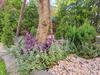listing thumbnail image 40