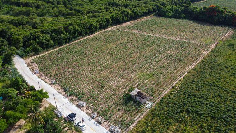 picture Beautiful plot of land for sale in Bowin, a prime location surrounded by leading housing projects. - 2/4