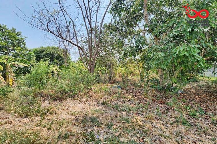 รูป ขายที่ดินถมแล้ว 400 ตร.ว. วัดลาดปลาดุก บางคูรัด บางบัวทอง นนทบุรี - รูปที่ 5/9