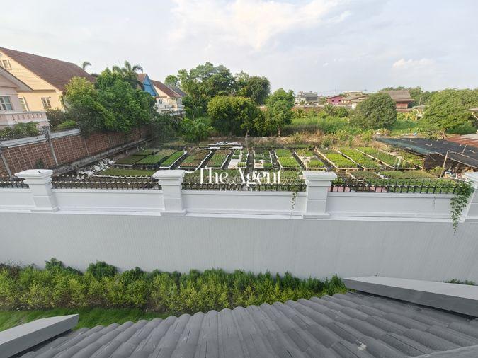 รูป ขายบ้านรีโนเวทใหม่ ลัดดารมย์ ปิ่นเกล้า หลังริม เนื้อที่ 80.5 ตร.ว. 4 นอน 3 น้ำ ทำเลปิ่นเกล้า-ราชพฤกษ์-กาญจนาภิเษก - รูปที่ 44/76