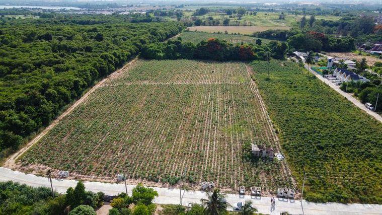 picture Beautiful plot of land for sale in Bowin, a prime location surrounded by leading housing projects. - 1/4