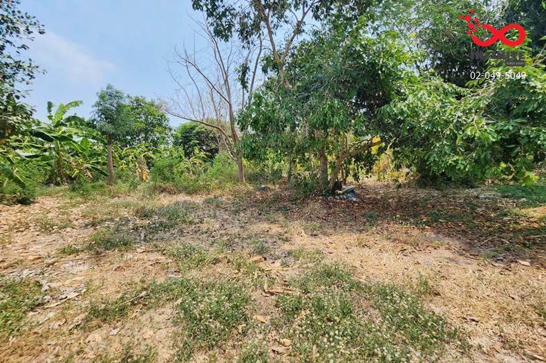 รูป ขายที่ดินถมแล้ว 400 ตร.ว. วัดลาดปลาดุก บางคูรัด บางบัวทอง นนทบุรี - รูปที่ 4/9