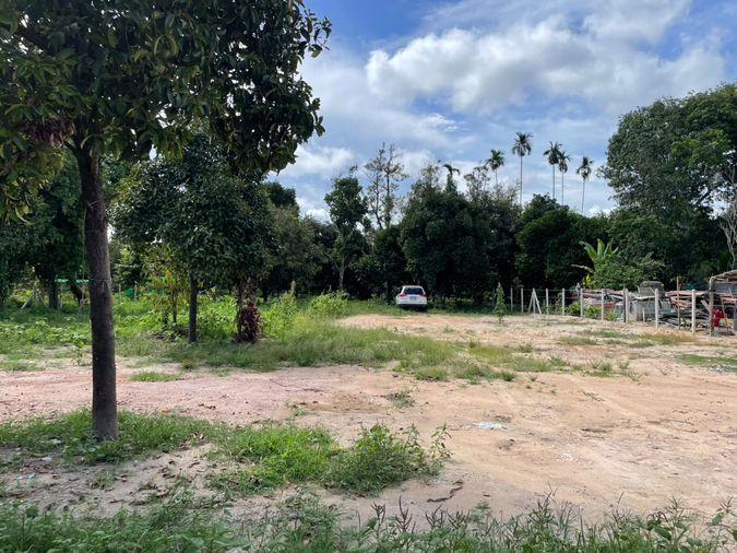 รูป ขายที่ดิน 1 ไร่ ตะพง เมืองระยอง ใกล้ตลาดผลไม้ตะพง ใกล้เขายายดา เหมาะสำหรับอยู่ในวัยเกษียณ  - รูปที่ 2/8
