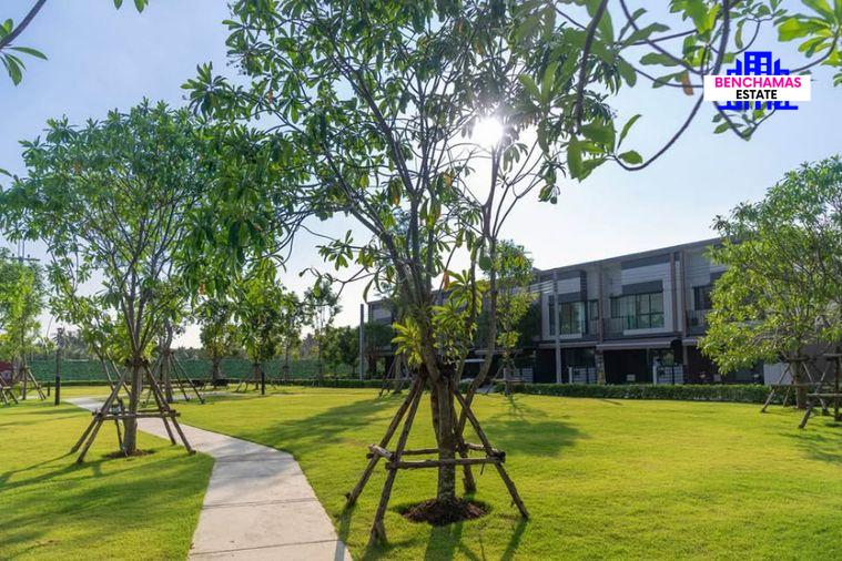 รูป 🔥ขายทาวน์โฮมทำเลดีแห่งอนาคต ✅ พลีโน่ สุขสวัสดิ์ 30 โครงการ 2 (The Pleno Suksawat 30 Project 2) | ใกล้รถไฟฟ้า MRT สายสีม่วงในอนาคต - รูปที่ 8/9