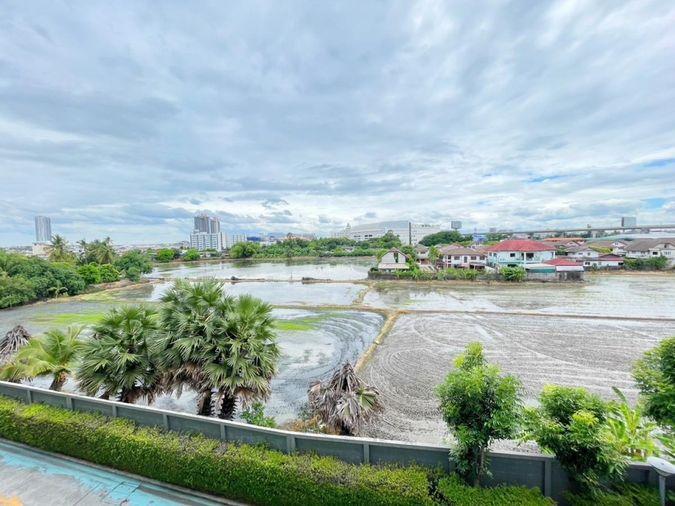 รูป 🤝🏻RB24903 ให้เช่าถูกมาก👍ดิ ไอริส เวสท์เกต✅แอดไลน์ @mproperty( มี @ ด้วย) แอดมินตอบไว - รูปที่ 7/17