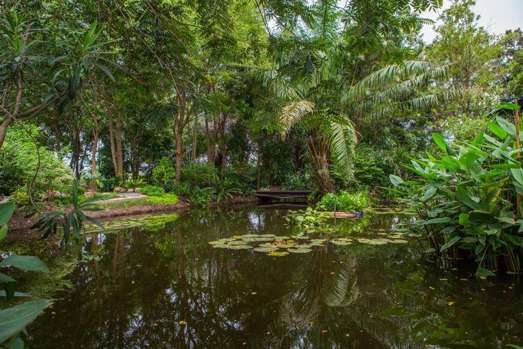 รูป ขายบ้านสวนริมสระบัว พร้อมที่ดิน 2ไร่กว่า เฟอร์ครบพร้อมเข้าอยู่ อากาศดี ร่มรื่น โซนไทรน้อย นนทบุรี - รูปที่ 20/20