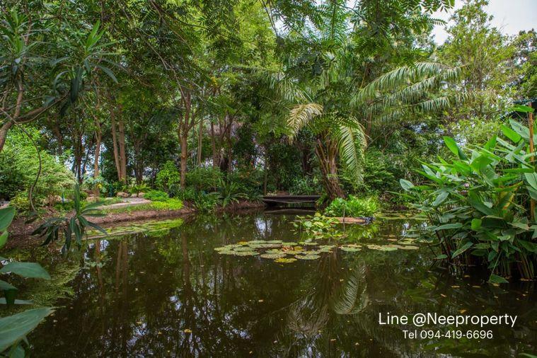 รูป ขายบ้านสวนริมสระบัว พร้อมที่ดิน 2ไร่กว่า เฟอร์ครบพร้อมเข้าอยู่ อากาศดี ร่มรื่น โซนไทรน้อย นนทบุรี - รูปที่ 20/20