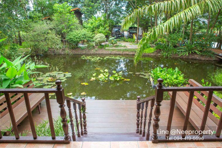 รูป ขายบ้านสวนริมสระบัว พร้อมที่ดิน 2ไร่กว่า เฟอร์ครบพร้อมเข้าอยู่ อากาศดี ร่มรื่น โซนไทรน้อย นนทบุรี - รูปที่ 3/20