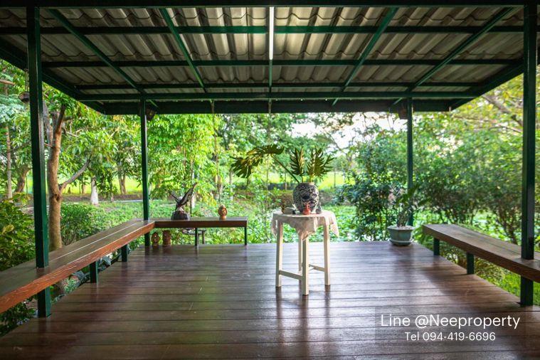 รูป ขายบ้านสวนริมสระบัว พร้อมที่ดิน 2ไร่กว่า เฟอร์ครบพร้อมเข้าอยู่ อากาศดี ร่มรื่น โซนไทรน้อย นนทบุรี - รูปที่ 4/20
