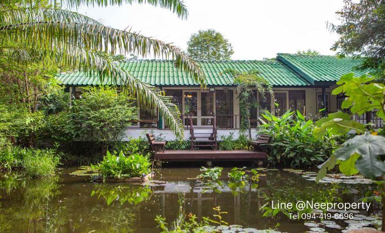 รูป ขายบ้านสวนริมสระบัว พร้อมที่ดิน 2ไร่กว่า เฟอร์ครบพร้อมเข้าอยู่ อากาศดี ร่มรื่น โซนไทรน้อย นนทบุรี - รูปที่ 2/20
