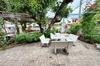 listing thumbnail image 11