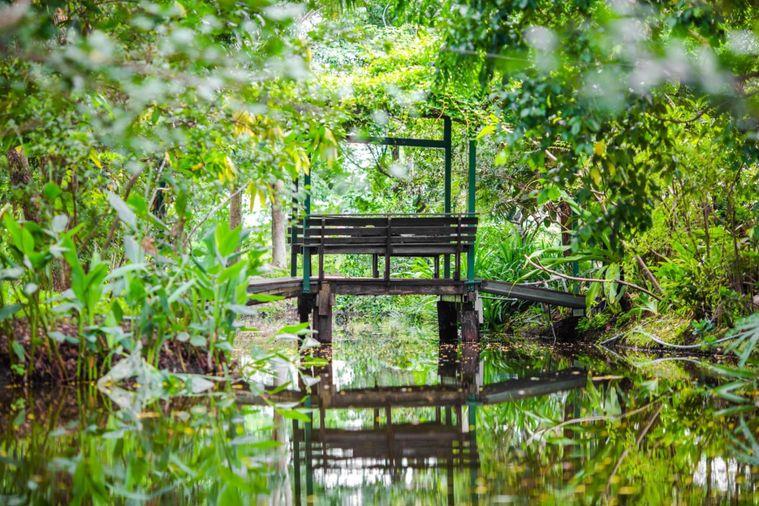รูป ขายบ้านสวนริมสระบัว พร้อมที่ดิน 2ไร่กว่า เฟอร์ครบพร้อมเข้าอยู่ อากาศดี ร่มรื่น โซนไทรน้อย นนทบุรี - รูปที่ 18/20
